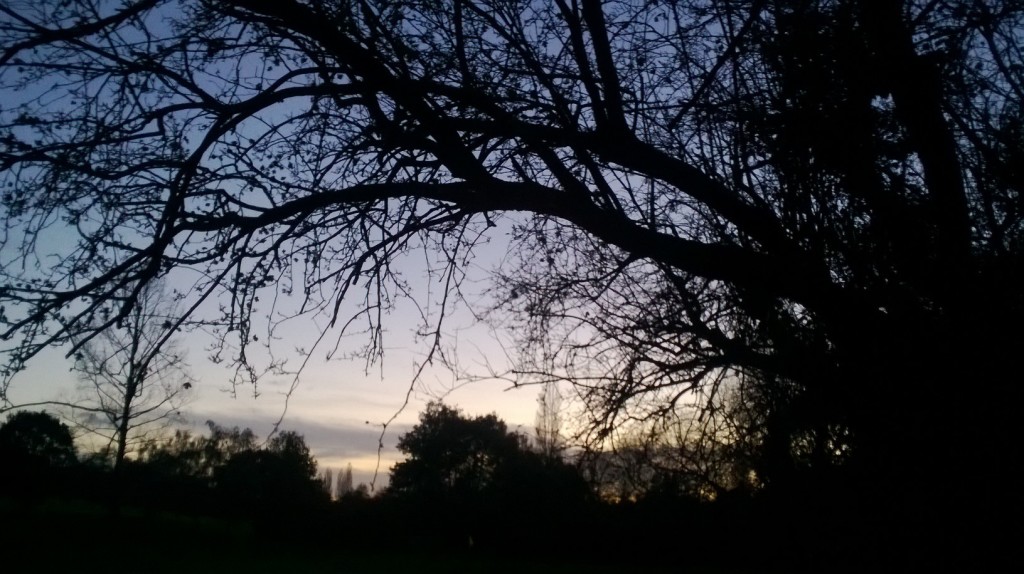twilight Epping Forest