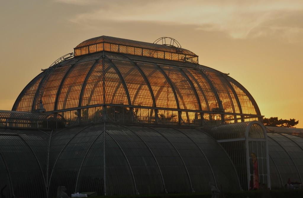 Spicy Lates, Palm House