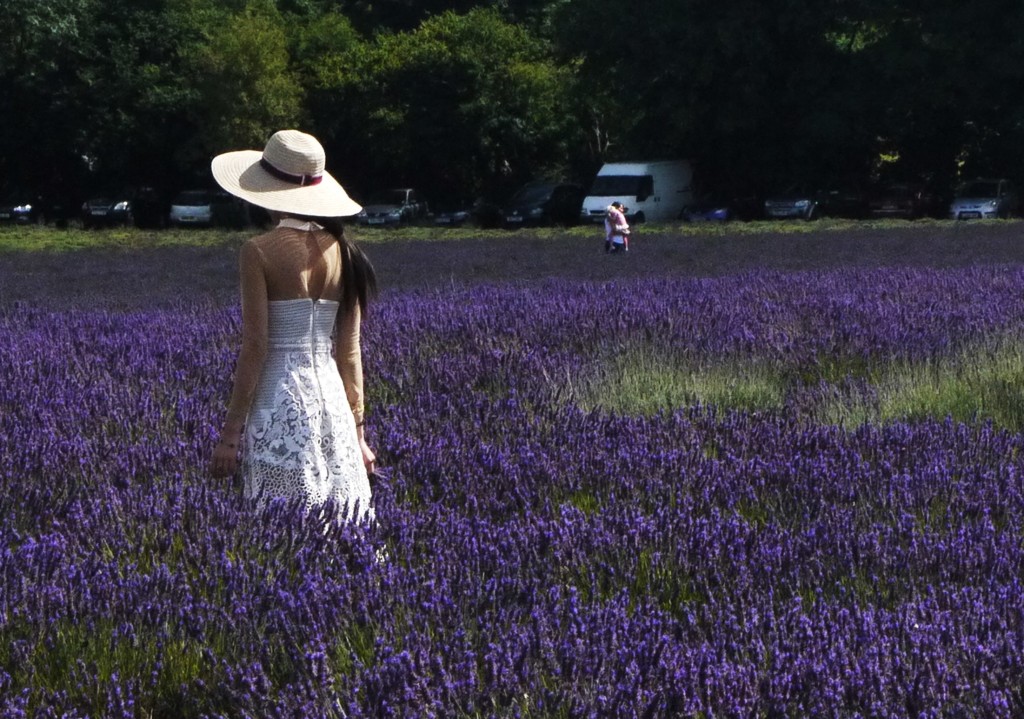 Asian lady posing for photos at Mayfield Lavender Farm