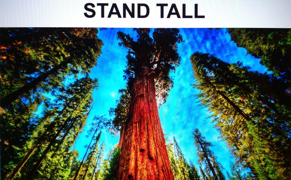 Stand Tall LinkedIn presentation on body language