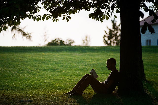 figure reading under a tree - my top 5 lunch break travel read escapes
