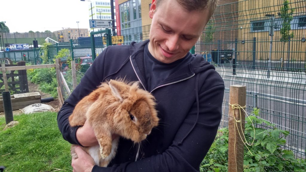 cuddling with a rabbit at Stepney City Farm 