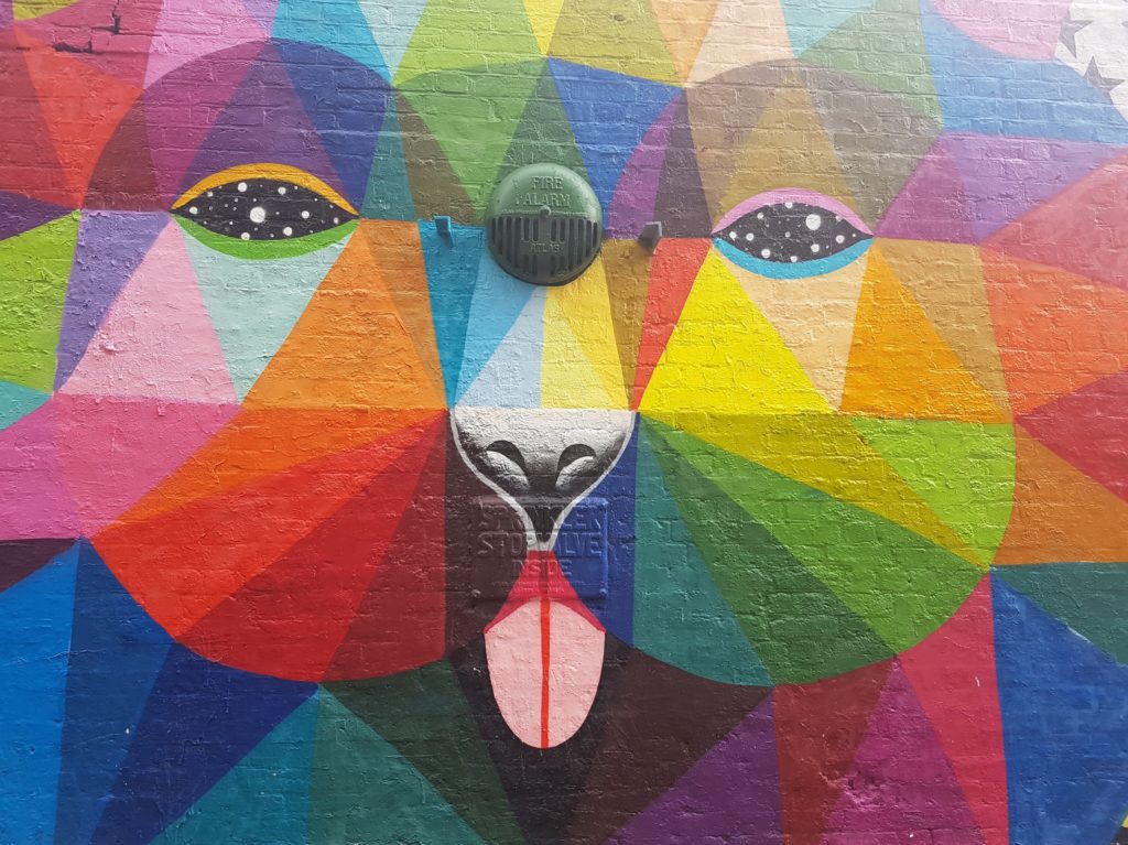 Close up of animal face painted by street artist Okuda on Sclater Street, Shoreditch 