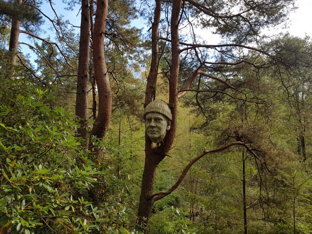 close up of a sculpture of a man's head fixed in a tree at the Churt Sculpture Park, near Farnham 