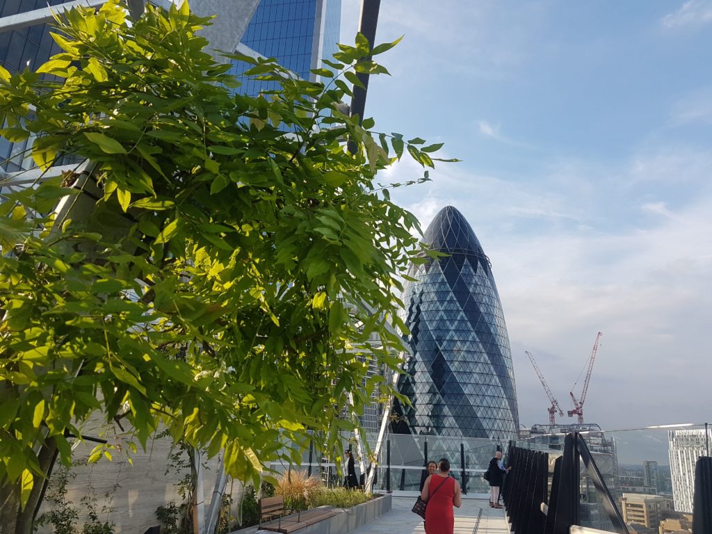 view from the roof garden to the Gherkin at 120 Fenchurch Street 