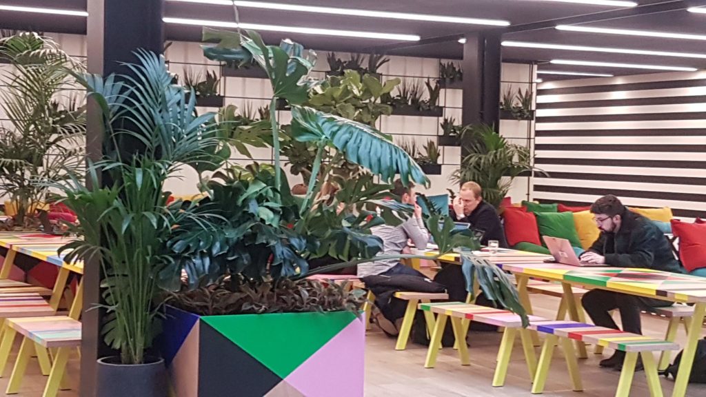 office collaboration space with plants