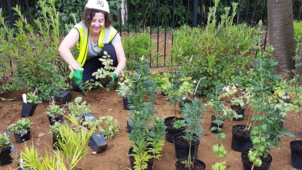 planting at horatio's garden at the royal national orthopaedic hospital in Stanmore 