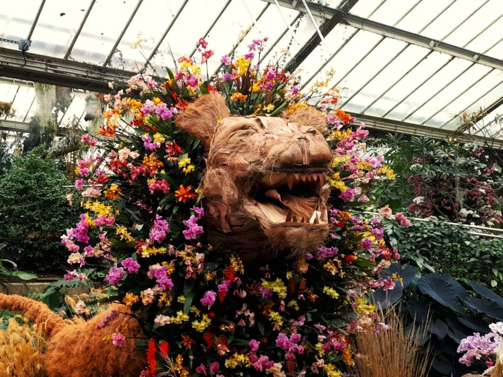 lion statue at kew gardens orchids festival