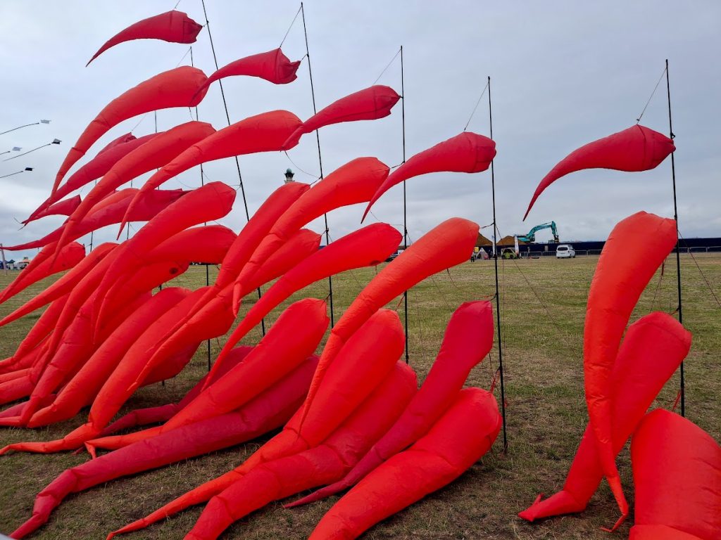 kite display area at the Portsmouth kite festival