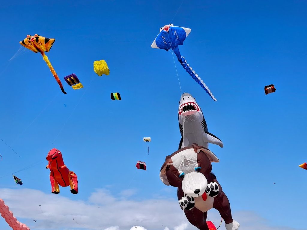 animal themed kites on display at the Portsmouth kite festival