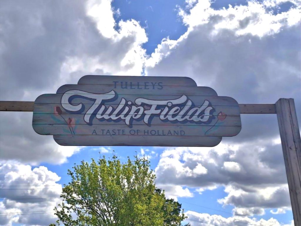 Tulleys Tulip fields sign at their site near London Colney